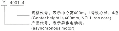 西安泰富西玛Y系列(H355-1000)高压YR5605-10/630KW三相异步电机型号说明